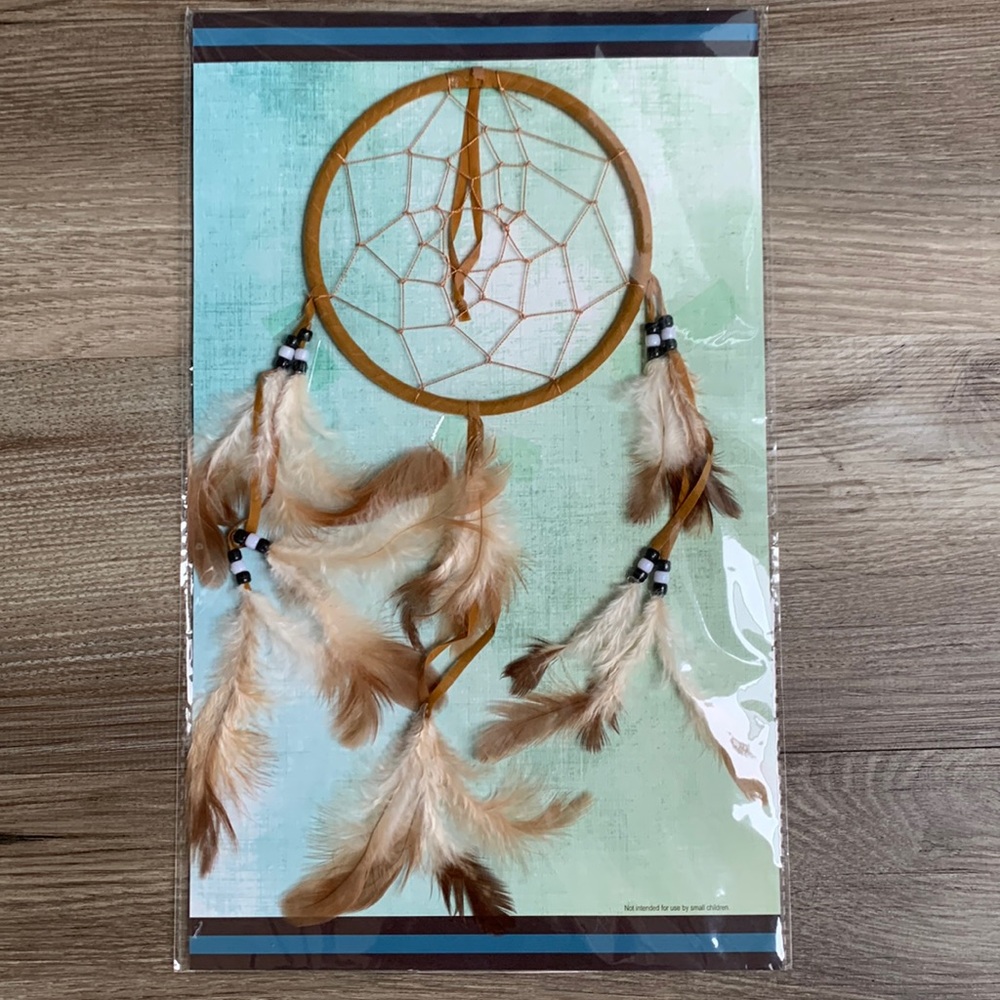 Dream Catcher with Feathers Native American DreamCatcher